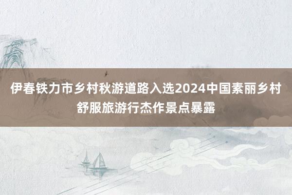 伊春铁力市乡村秋游道路入选2024中国素丽乡村舒服旅游行杰作景点暴露