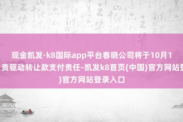 现金凯发·k8国际app平台春晓公司将于10月11日起负责驱动转让款支付责任-凯发k8首页(中国)官方网站登录入口