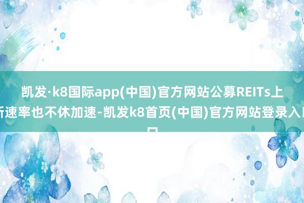 凯发·k8国际app(中国)官方网站公募REITs上新速率也不休加速-凯发k8首页(中国)官方网站登录入口